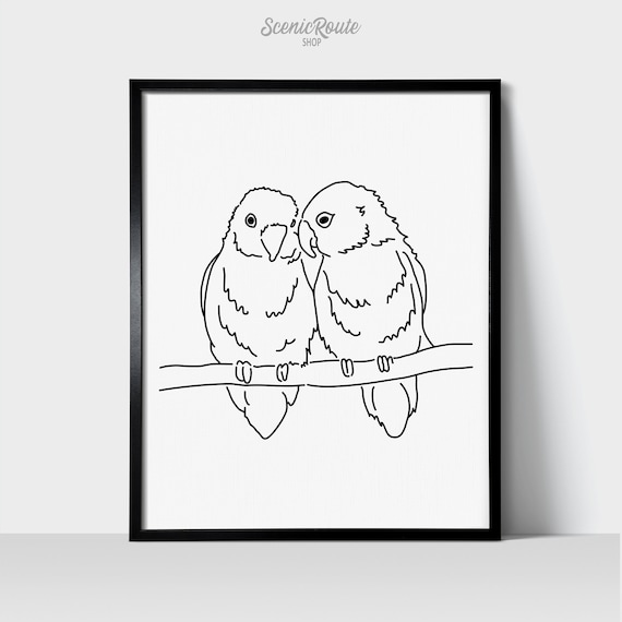Lovebird Giant Panda Vector Birds Transprent Png - Love Bird Drawing Free  Transparent PNG - 800x800 - Free Download on NicePNG