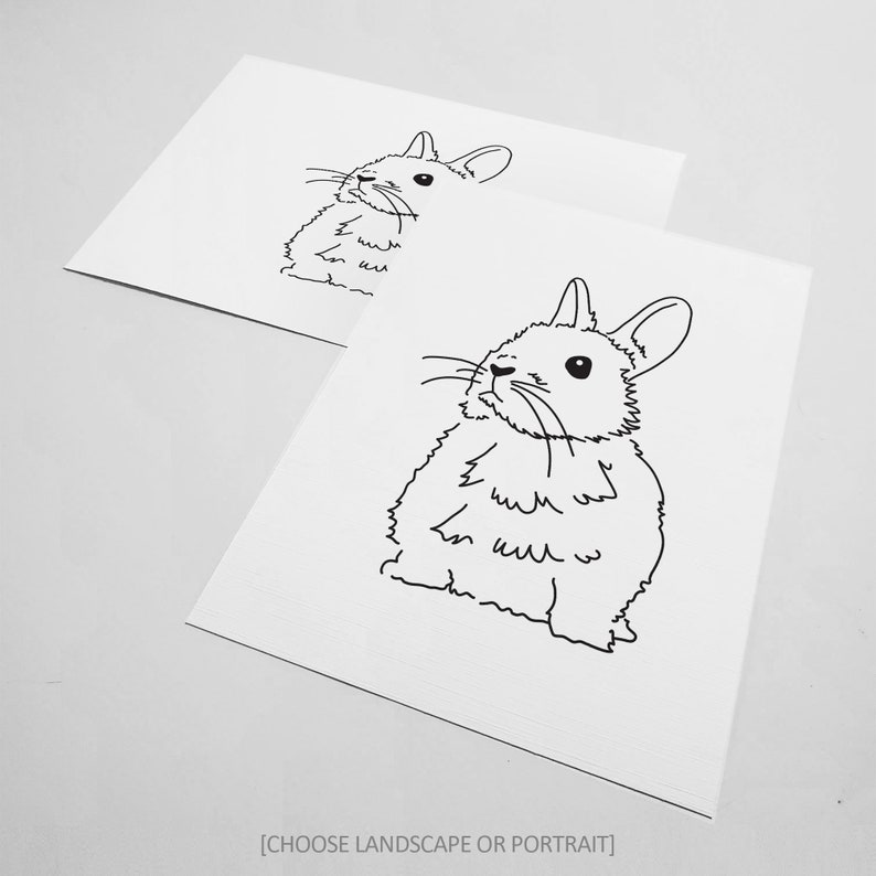 Netherland Dwarf Bunny Rabbit Pet Line Art Drawing Unframed Etsy
