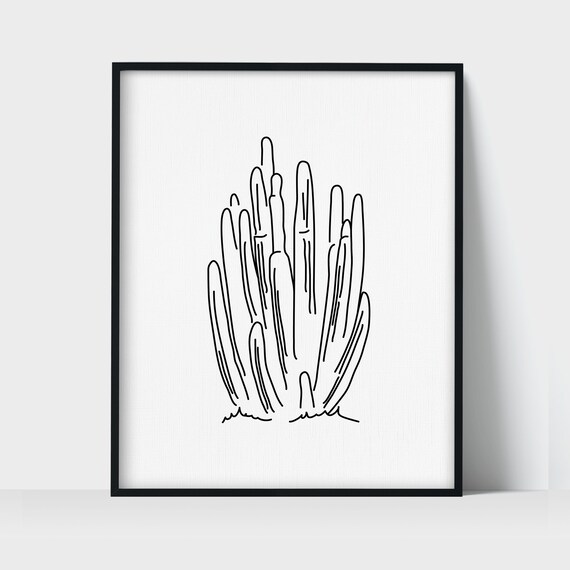 Organ Pipe Cactus with bristle-bush & Opuntias For sale as Framed Prints,  Photos, Wall Art and Photo Gifts
