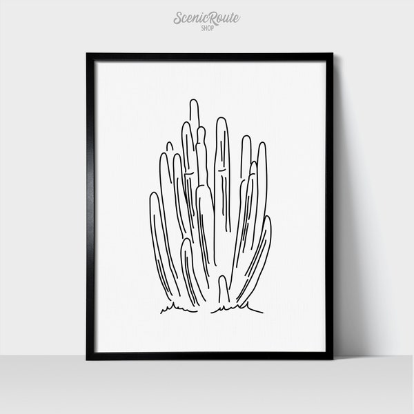 Organ Pipe Cactus - Line Art Drawing Unframed Print