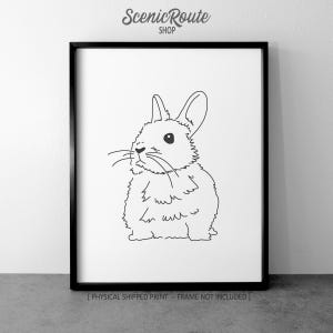 Netherland Dwarf Rabbit Pet Drawing Art Print (Unframed), Bunny Line Art Illustration, Minimalist Modern Wall Art, Rabbit Sketch Poster