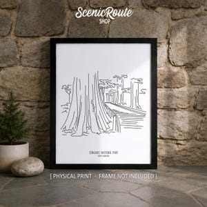 Congaree National Park Line Art Print,  Minimalist Black & White South Carolina Travel Poster