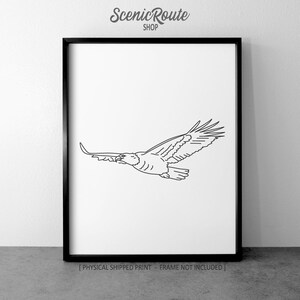 Eagle Drawing Art Print (Unframed), Wildlife Line Art Illustration, Minimalist Modern Wall Art, Animal Sketch Poster