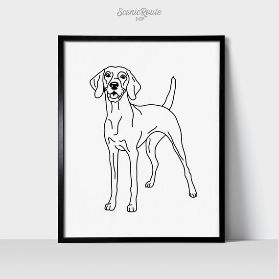 Vizsla white cheap