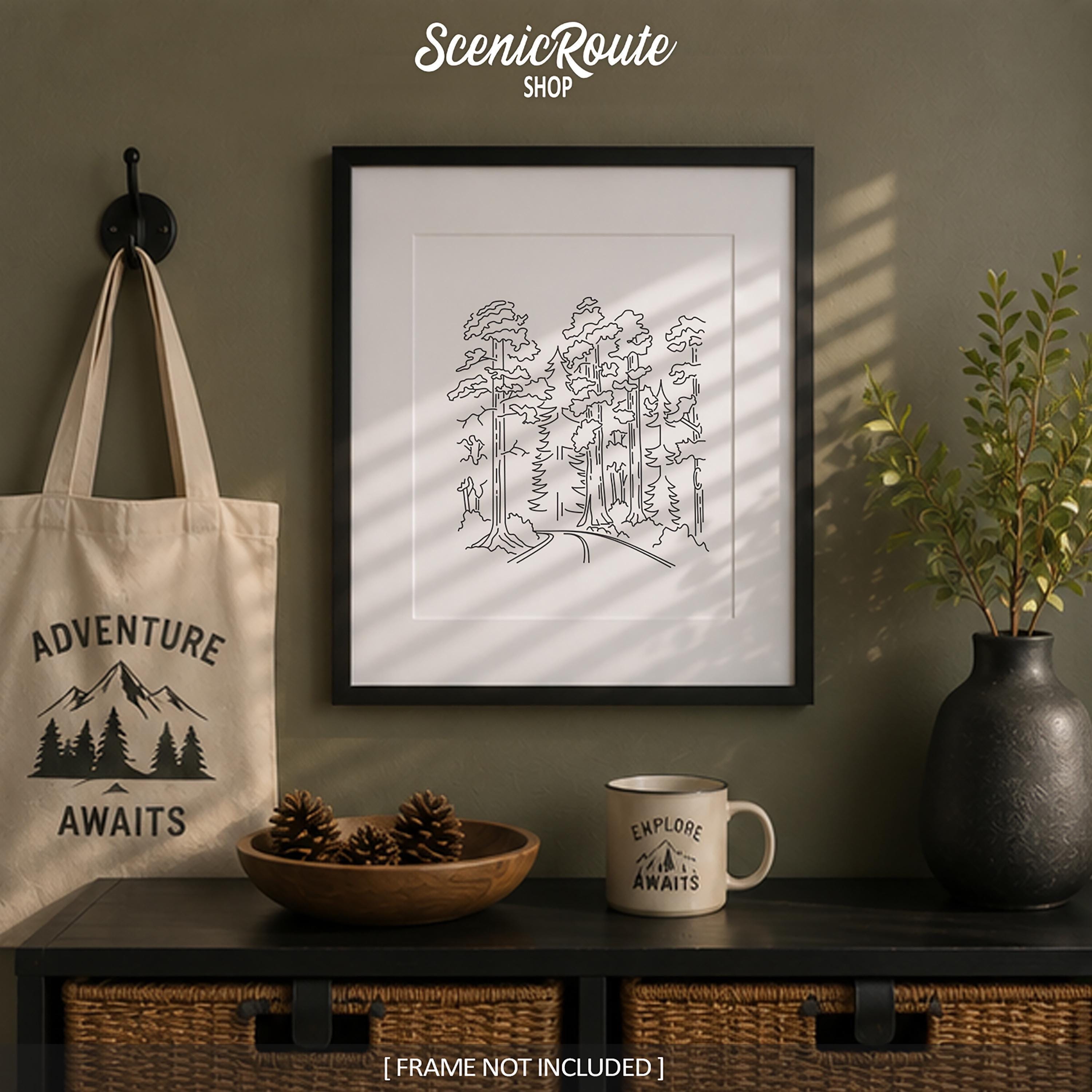 Redwood National Park Line Art Print, Minimalist Black & White