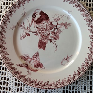 May include: A white ceramic plate with a maroon bird and floral design. The plate features a detailed illustration of a bird perched on a branch with flowers. The rim is decorated with a repeating floral pattern.