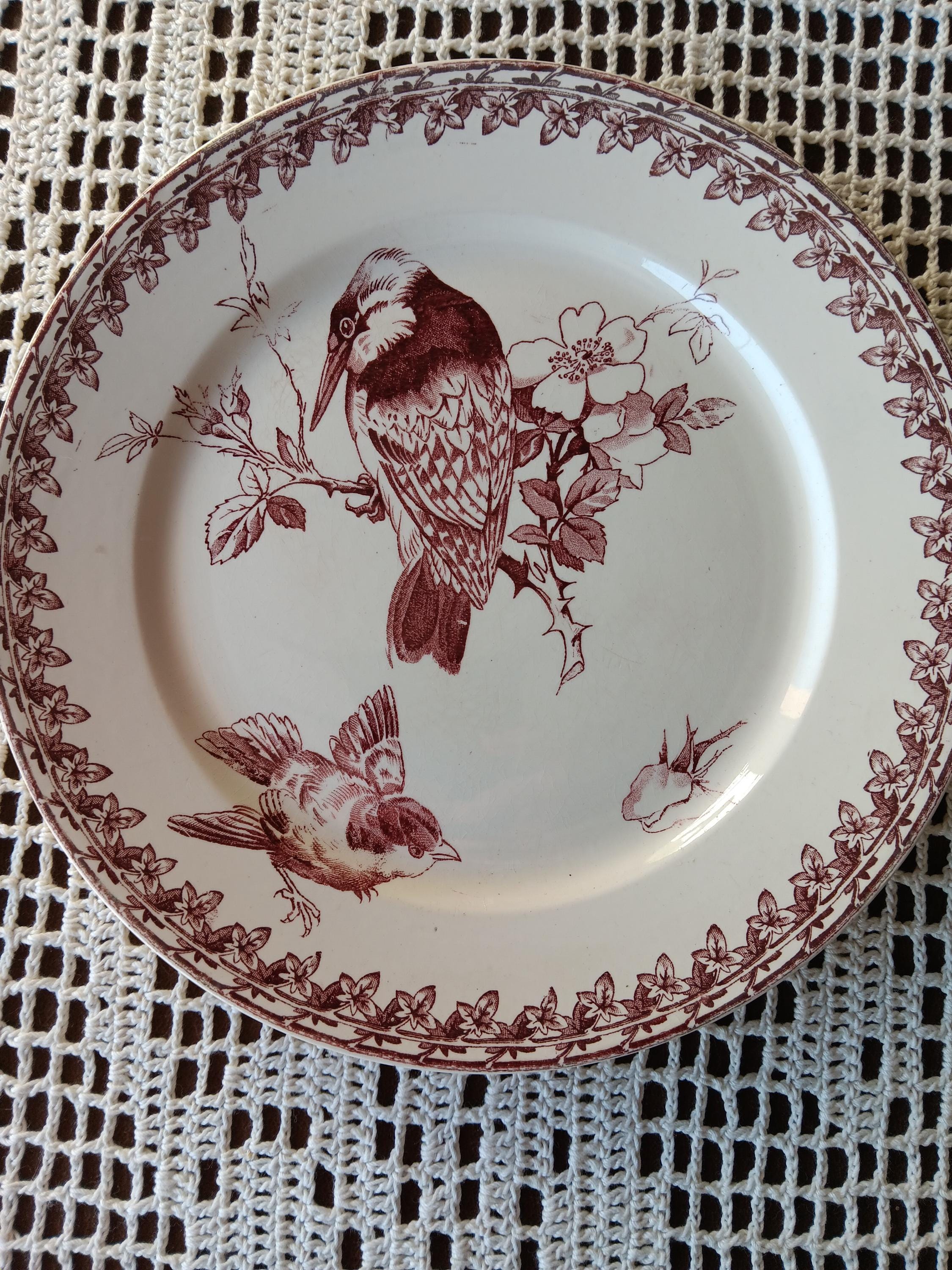 6 assiettes plates terre de fer sarreguemines modèle alma diamètre 23,5 cm