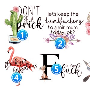 Funny Adult Sayings Waterslide Decals for Tumblers - Laser Printed