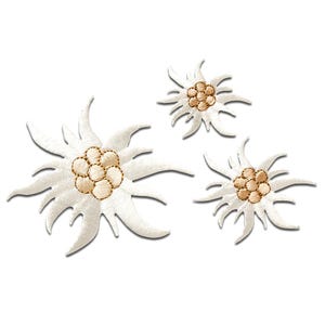 Könnte beinhalten: Drei gestickte Edelweiß-Blumen-Patches. Die Patches haben weiße Blütenblätter und eine beige Mitte. Die Blumen sind auf weißem Hintergrund in einer Gruppe angeordnet. Die Patches sind wahrscheinlich zum Aufnähen oder Aufbügeln auf Stoff.