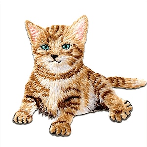 Op de afbeelding: Geborduurde patch van een lichtbruin tabby katje met blauwe ogen. Het katje ligt met uitgestrekte poten. De patch heeft gedetailleerde stiksels en een witte achtergrond.