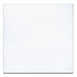 Peut inclure: Une toile blanche unie, parfaite pour la peinture ou l'artisanat.