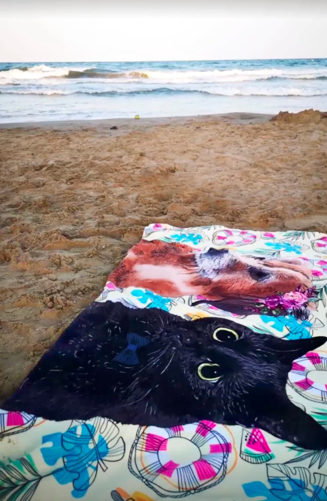 Towel with your Pet, Custom Beach Towel, Personalised Pet on a Towel, For Pet Lovers, Gift For Dog Lovers, Personalised Beach Towel