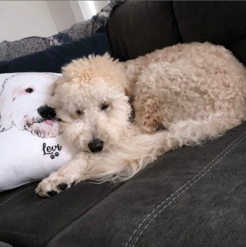 Personalized Pet Pillow Custom Dog Pillow Pet Lovers Etsy