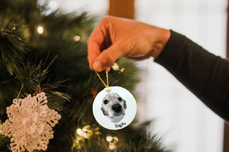 Custom Pet Ornament Christmas Ornament Pet Memorial Etsy