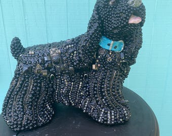 Dog "Midnight"