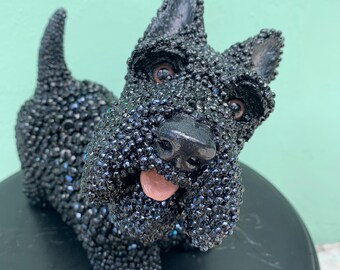 Dog "Scottie"