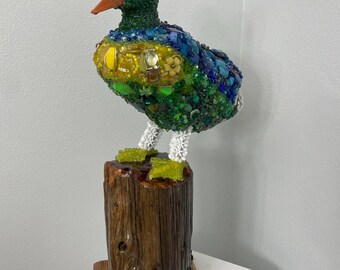 Duck "Duck Norris"