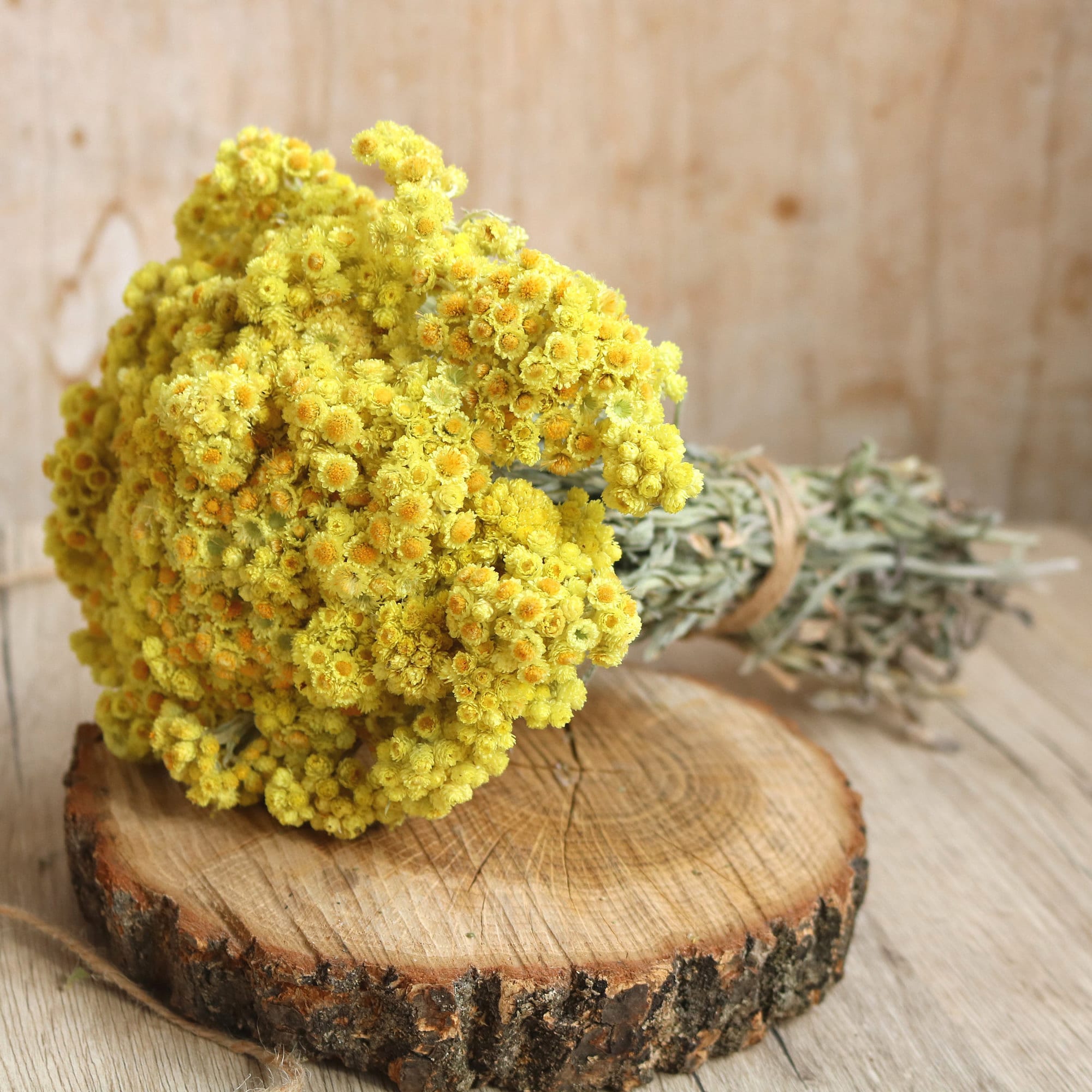 Dried flowers Dried immortelle Dried wildflowers Etsy