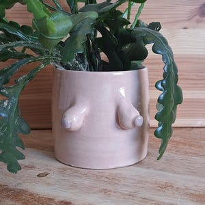 Boob pot planter