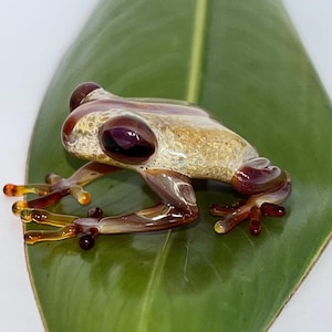 May include: A handcrafted glass frog figurine with a detailed design. The frog features a mix of brown, tan, and amber colors, with large, deep purple eyes. It is posed on a large green leaf, showcasing its intricate craftsmanship.