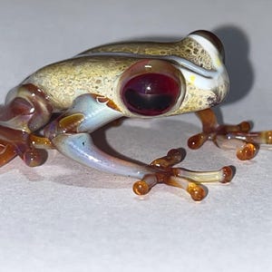 Puerto Rican coquí glass figure, handmade borosilicate , unique collector's item.