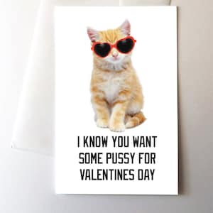 Ich weiß, Sie wollen einige Pussy glücklich Valentinstag Grußkarte, Katze Kätzchen lustige süße Witz Pun