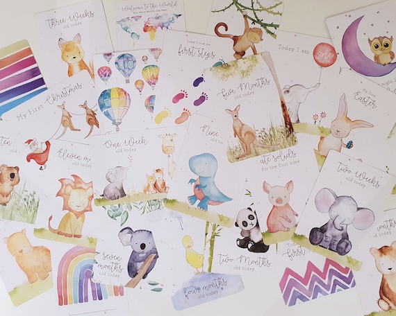 baby milestone cards etsy