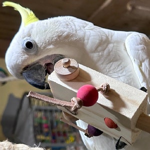 Big Bird Foot Toys, 3 pc set