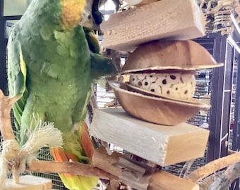 Freddi’s Fave! All Natural Balsa & Sola Parrot Foraging Chew Toy