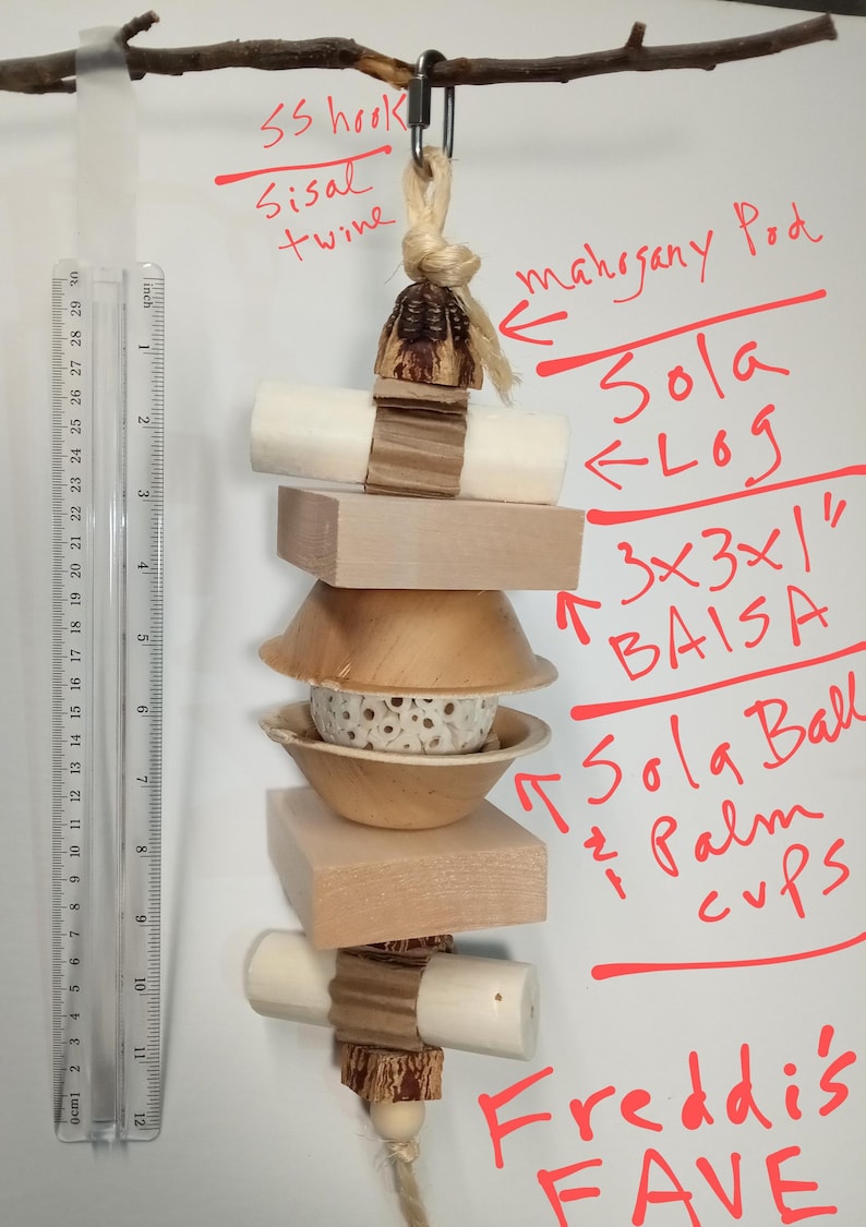 Pu&ograve; includere: Un giocattolo per uccelli fatto di materiali naturali, tra cui un tronco di sola, una palla di sola, tazze di palma e un blocco baisa di 7,6 x 7,6 x 2,5 cm. Il giocattolo &egrave; sospeso da un ramo con un gancio in acciaio inossidabile e spago di sisal. Il testo "Freddi's FAVE" &egrave; scritto sullo sfondo bianco.