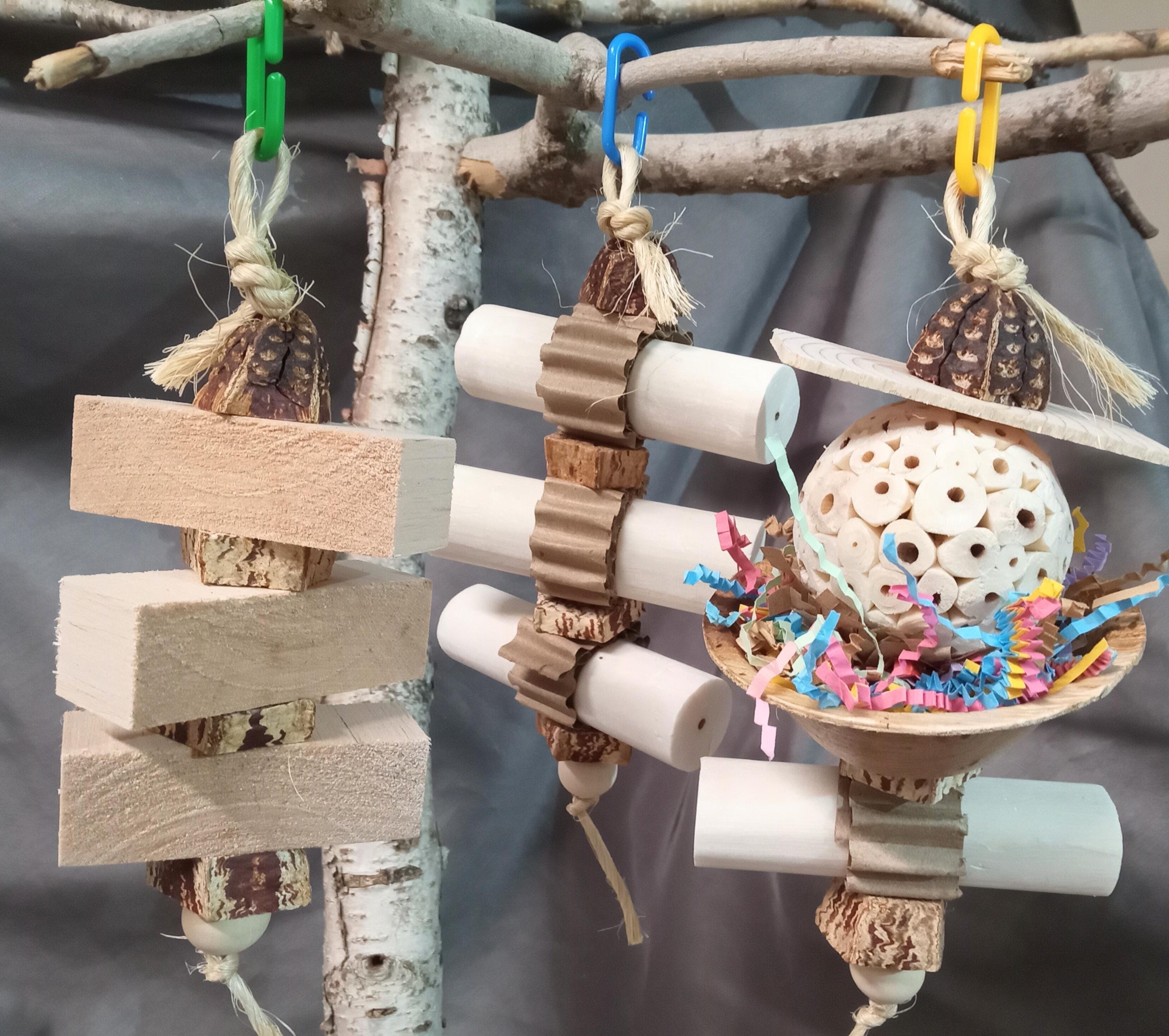 Small bird chew foraging 3pc toy set with Balsa, Sola & Mahogany pod