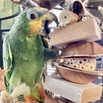 Bird Toys