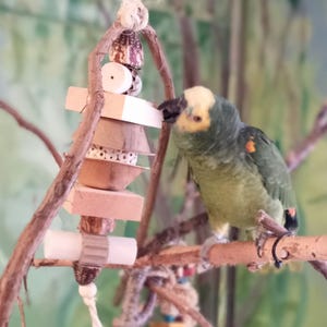 Pu&ograve; includere: Un pappagallo verde e giallo appollaiato su un ramo, che interagisce con un giocattolo di legno con diverse texture e forme. Il giocattolo &egrave; fatto di materiali naturali e ha una corda che pende dal basso.