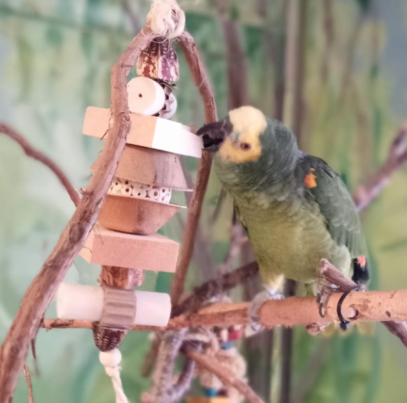 Pu&ograve; includere: Un pappagallo verde e giallo appollaiato su un ramo, che interagisce con un giocattolo di legno con diverse texture e forme. Il giocattolo &egrave; fatto di materiali naturali e ha una corda che pende dal basso.