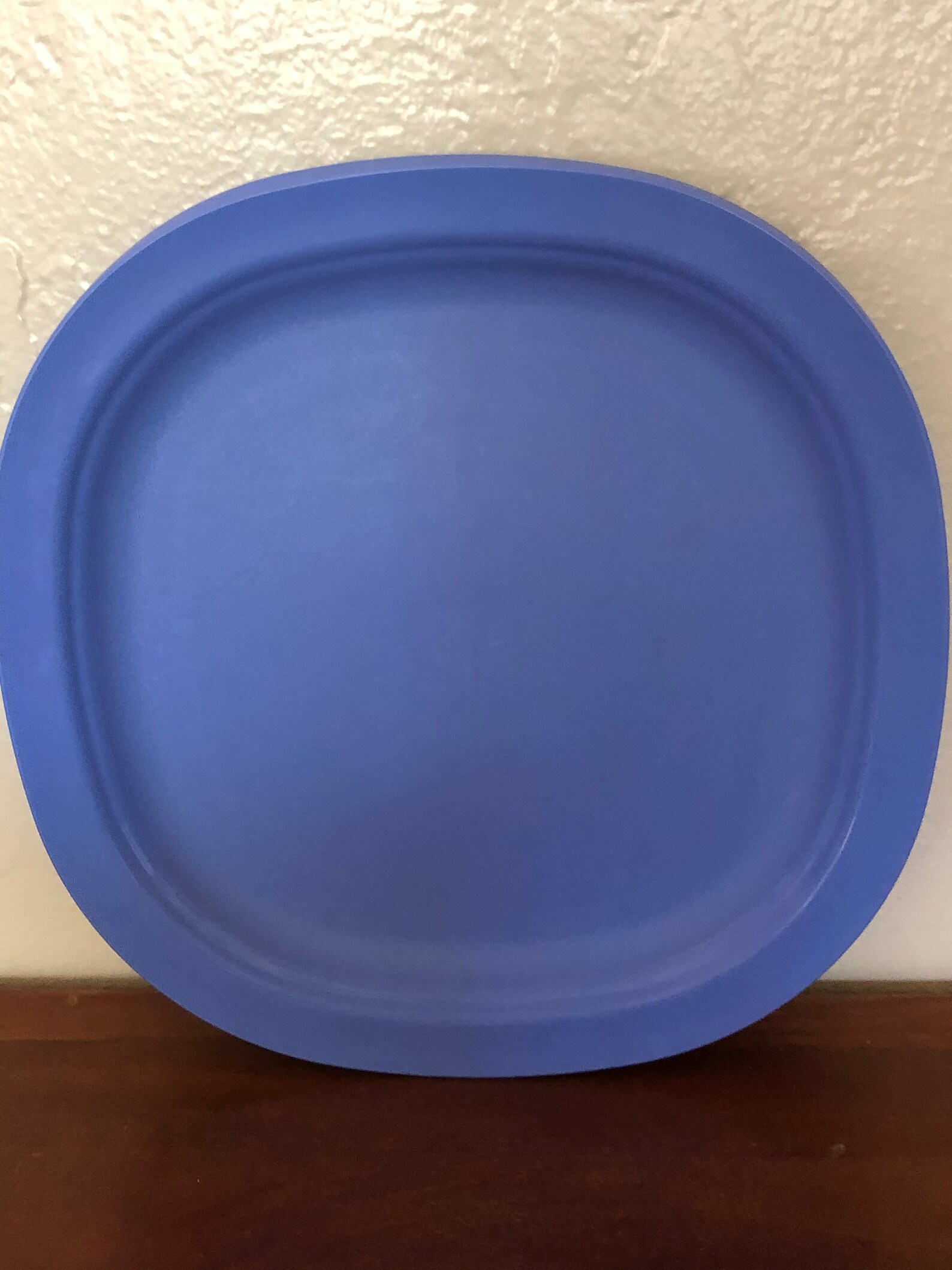 Vintage Tupperware Blue Dinner Plates Microwavable 339882 Etsy