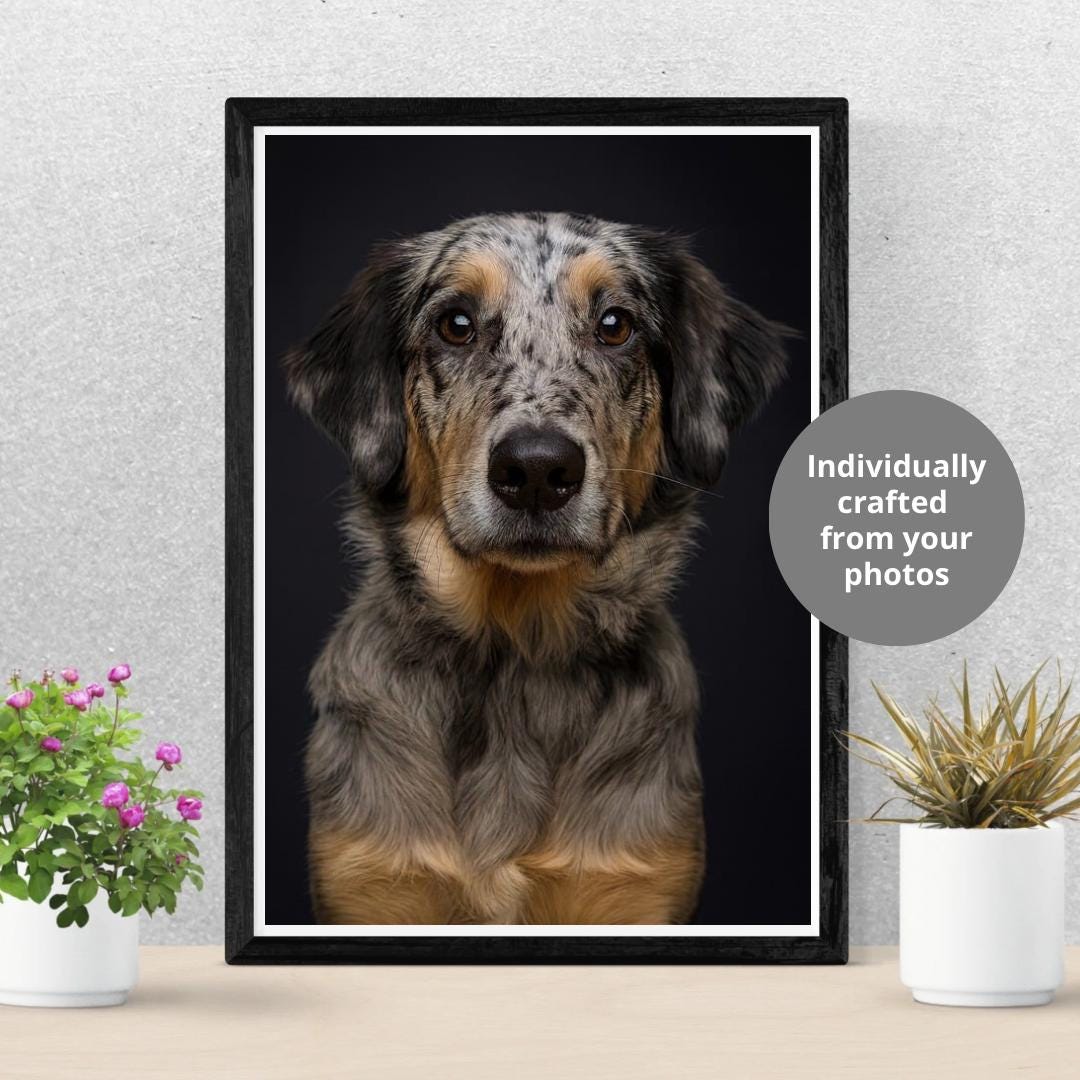 Pet Photo Composite UK