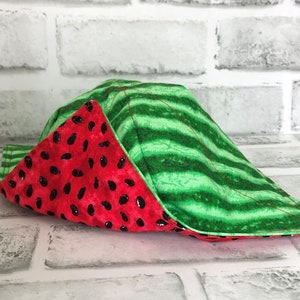 Watermelon Microwave Bowl Cozy, Large Soup Bowl Cozy, Watermelon Seeds, Bowl Cozy For Microwave, Reversible, Ice Cream Holder, Hot Pad