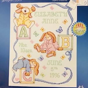 Janlynn Counted Cross Stitch Kit Sleepy Bunnies Birth Sampler Record - New in Package - Design Size 11 x 14” Terri Lee Steinmeyer