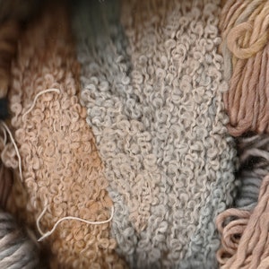 May include: Close-up of a variety of yarn skeins in shades of brown, beige, and gray. The yarn is soft and fluffy, and the colors are muted and natural.