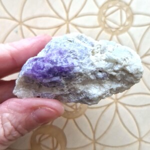 May include: A rough, natural stone with a prominent band of deep purple color running through the center. The stone has a light gray and white exterior, and is held in a hand against a patterned wooden background.