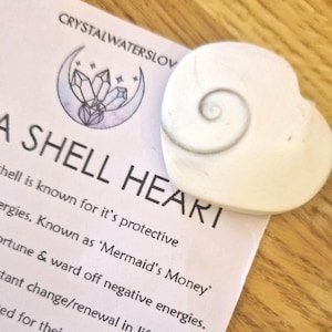May include: A white heart-shaped shell with a spiral pattern inside. The shell is on a card with the text "A Shell Heart" and a description of the shell's properties.