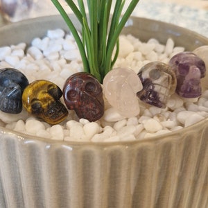 May include: Seven small, hand-carved crystal skull figurines in various colors, including black, gold, red, pink, purple, and gray, are arranged in a row on a bed of white pebbles in a gray ceramic pot.