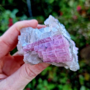 Raw Pink Tourmaline Crystal Specimen: Healing Mineral, Collector&#39;s Item