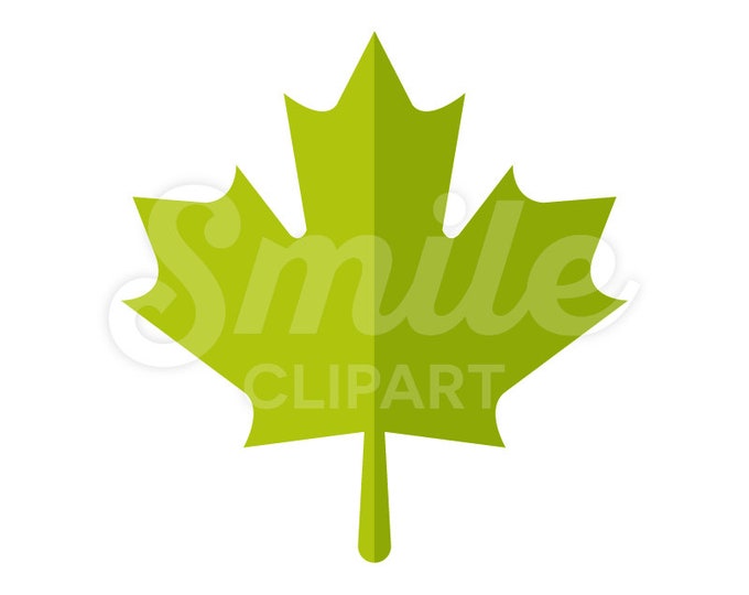 Maple leaf green tree leaf vector illustration - 00051