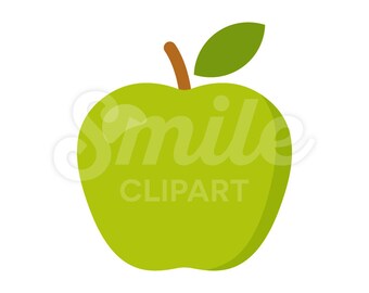 Green apple fruit vector illustration - 00048