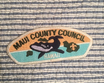 Coastal Georia Council//Lodge 119//Boy Scout Patch//BSA//CSP