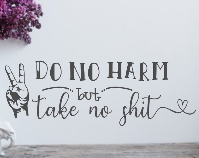 Empowerment decal, Do no harm but take no shit, laptop decal, bumper sticker, funny wall art, peace sign art, teenager wall decor