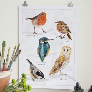 British Garden Birds Collection Digital Wall Art Print