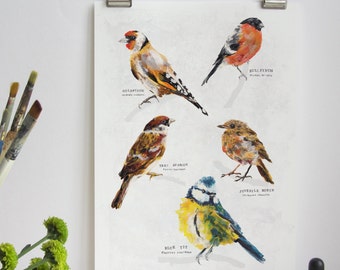 British Garden Birds Collection Art Print