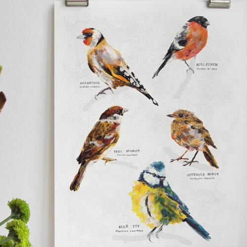 British Garden Birds Print. Birds on Branch Wall Art. Bird Etsy